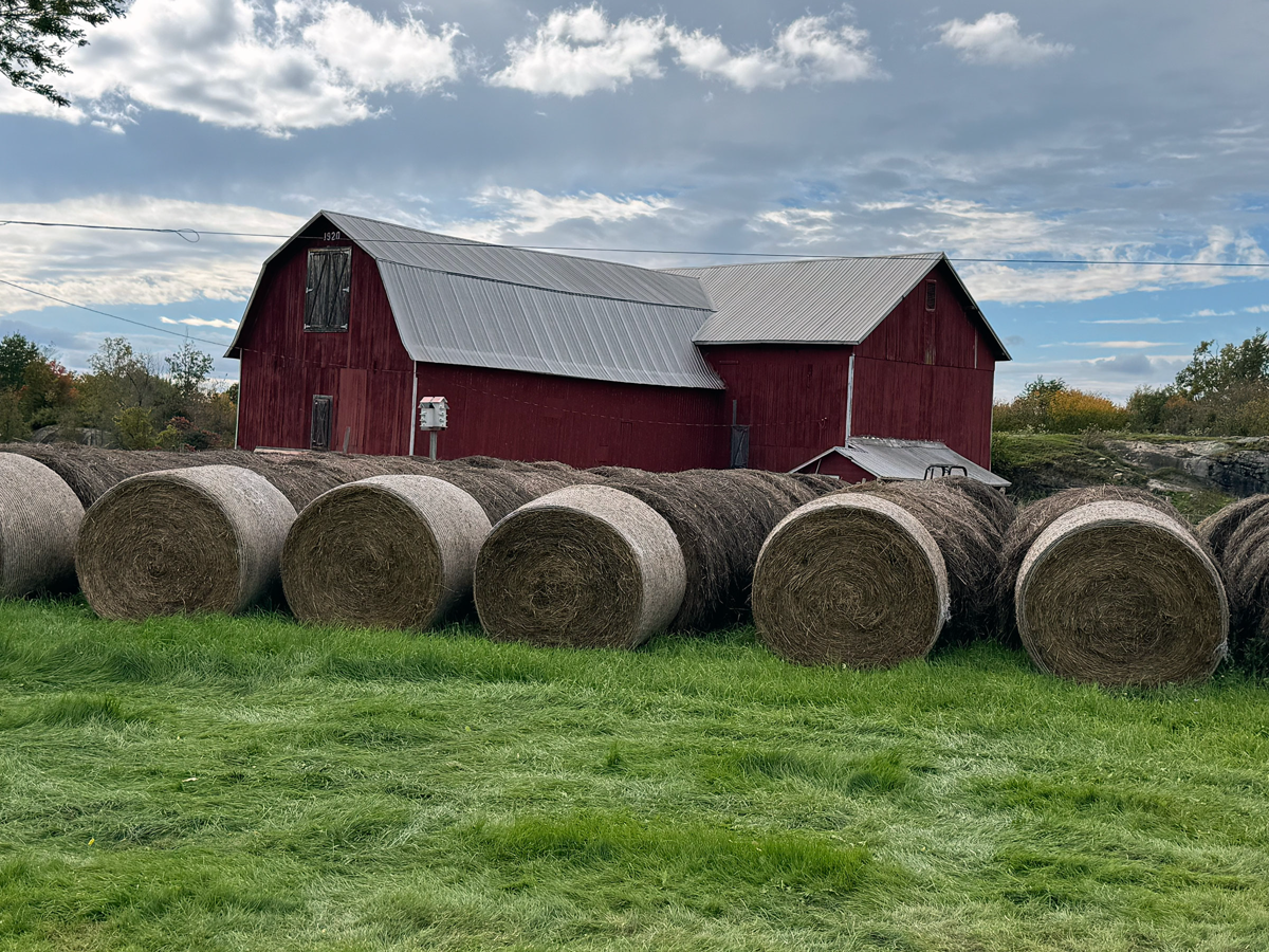 Hay Harvest NY