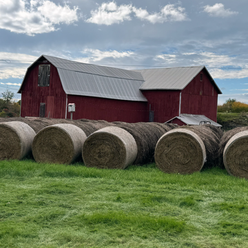 Hay Harvest NY - Upstate New York