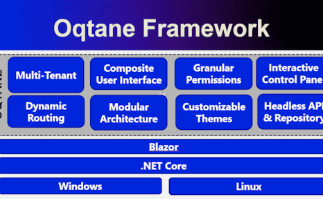 Custom Oqtane Module Development