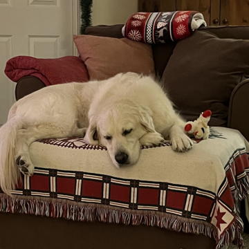 Dec-30-2025 - Ruthie