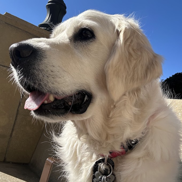 Winter Walk - Ruthie